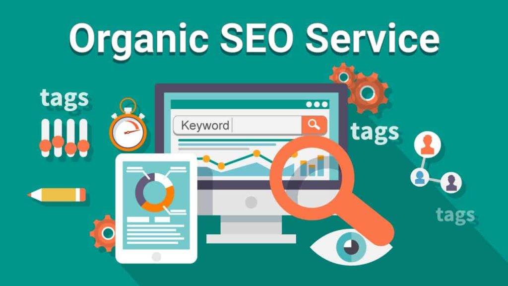 The Difference between Paid and Organic SEO Services